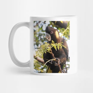 Yellow-tailed Black Cockatoo Mug